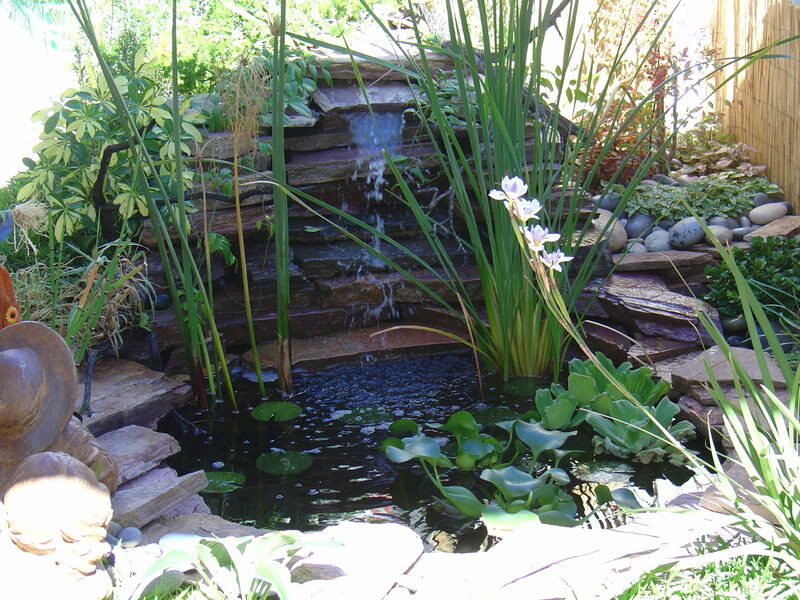 The enchanting appeal of garden water fountains